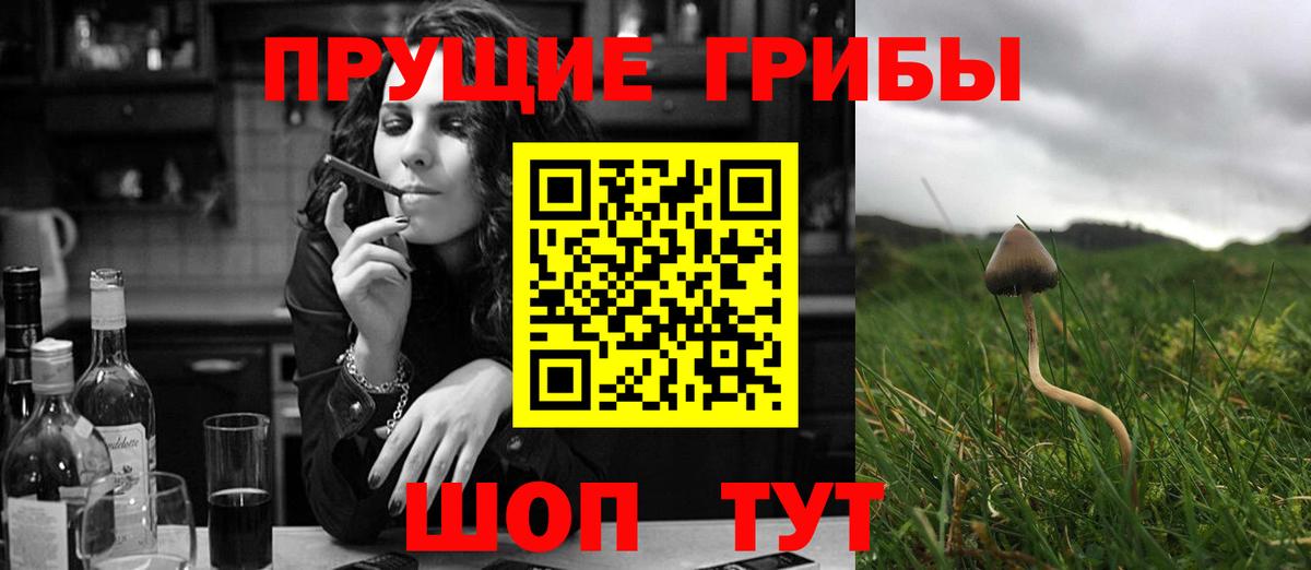 Псилоцибиновые грибы Cubensis  Псилоцибиновые грибы GOLDEN TEACHER  Тейково  Вход с VPN 